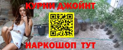 сатива Кунгур