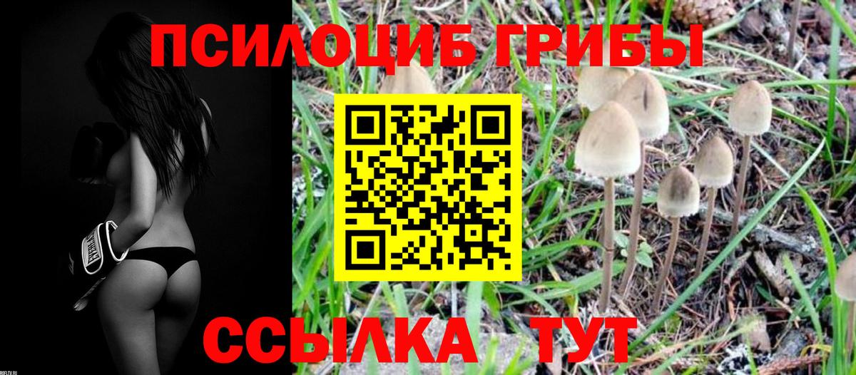 Ростов Великий  Псилоцибиновые грибы Cubensis  Галлюциногенные грибы MAGIC MUSHROOMS  Вход с VPN 